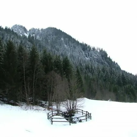 Châtel, 2 Pièces, 4 Personnes - Fr-1-198-110 *