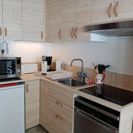 Appartement Châtel, 2 Pièces, 4 Personnes - Fr-1-198-110 Châtel